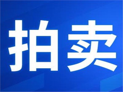 希爾得拍賣|衡東縣公共機構屋頂光伏發電項目27年特許經營權拍賣公告