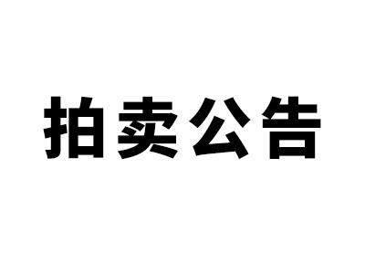 希爾得拍賣|新寧縣智慧停車及充電基礎(chǔ)設(shè)施項目特許經(jīng)營權(quán)網(wǎng)上拍賣公告